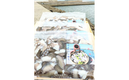 修福丸ん岬たこ生たこぶつ切り食べきりサイズ(200g×5袋) | 豊後高田市 たこ