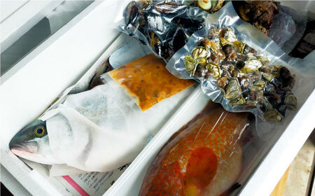 魚介 漁師直送！旬の海産物詰め合わせ(10,000円相当)冷蔵 島根県松江市/株式会社永幸丸[ALFM004] 魚介 魚介