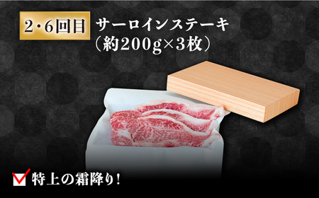 【豪華8回定期便】長崎 和牛 食べ比べ / ヒレ サーロイン ロース シャトーブリアン / 肉厚 牛肉 贅沢 ジューシー 牛 ステーキ肉 / 南島原市 / ながいけ [SCH054]