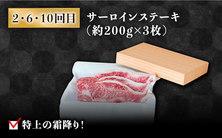 【豪華12回定期便】長崎和牛 食べ比べ [SCH055] ヒレステーキ ヒレ