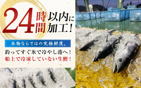 【最速発送】高知県産 土佐久礼 完全手焼き 藁焼き鰹たたき 約750g 【池澤鮮魚オンラインショップ】 [ATBE003]　スピード 最短 最速 発送