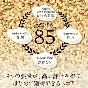 特別栽培米 コシヒカリ ヒロシノキモチ 玄米 5kg ブランド米 銘柄米 国産 米 お米 日本米 ギフト 贈り物 備蓄 防災 食品 陽咲玲 はるざれ F6T-921