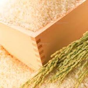 こしひかり (精米) 10kg 赤べこパッケージ 会津若松市産｜令和7年産 2025年産 コシヒカリ お米 米 こめ コメ 精米 白米 会津産 [1023]