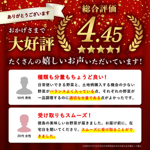 【定期便年4回】阿波の国海陽町 旬のお野菜詰め合わせセット 8～12品×4回 野菜 定期便 野菜定期便 年4回 徳島県 海陽町産 野菜セット 季節の野菜 詰め合わせ おまかせ