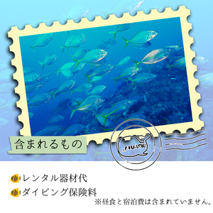 徳島最南端の海で体験ダイビング！