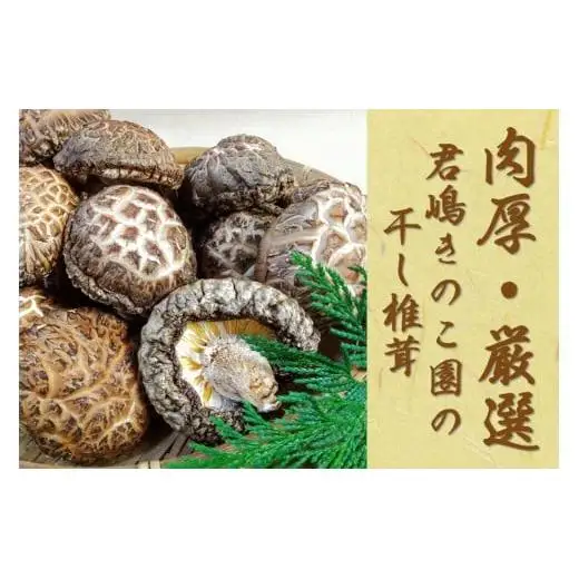 肉厚・厳選！原木育ちの上どんこ160g｜栃木県 矢板市 しいたけ 椎茸 産地直送  