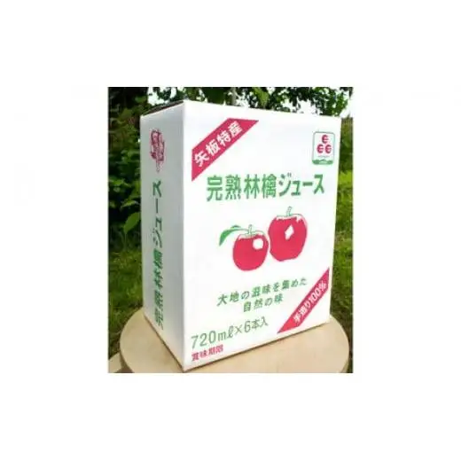 矢板市産 完熟りんごジュース《720ml×6本 1箱》｜林檎 リンゴ 果汁100% 産地直送  