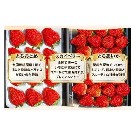 【先行予約】[数量限定] 貴重な12月発送！贅沢な栃木のいちご3種食べ比べセット 960g | とちあいか とちおとめ スカイベリー