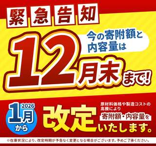 ココイチ カレーMセット ｜ポーク10個｜レトルト