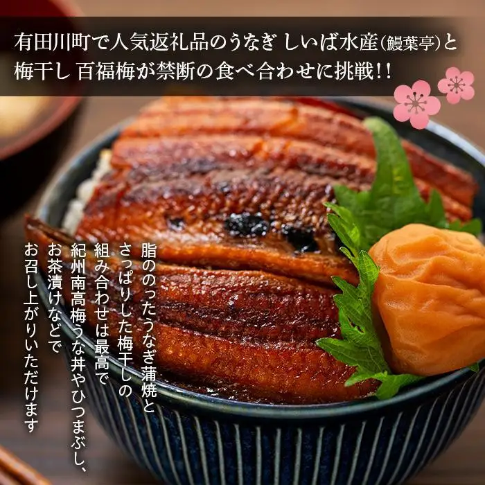 紀州南高梅うな丼 うなぎ蒲焼 240g  × 紀州南高梅干  80g うす塩味 塩分10％  約3人前 うなぎ 鰻
