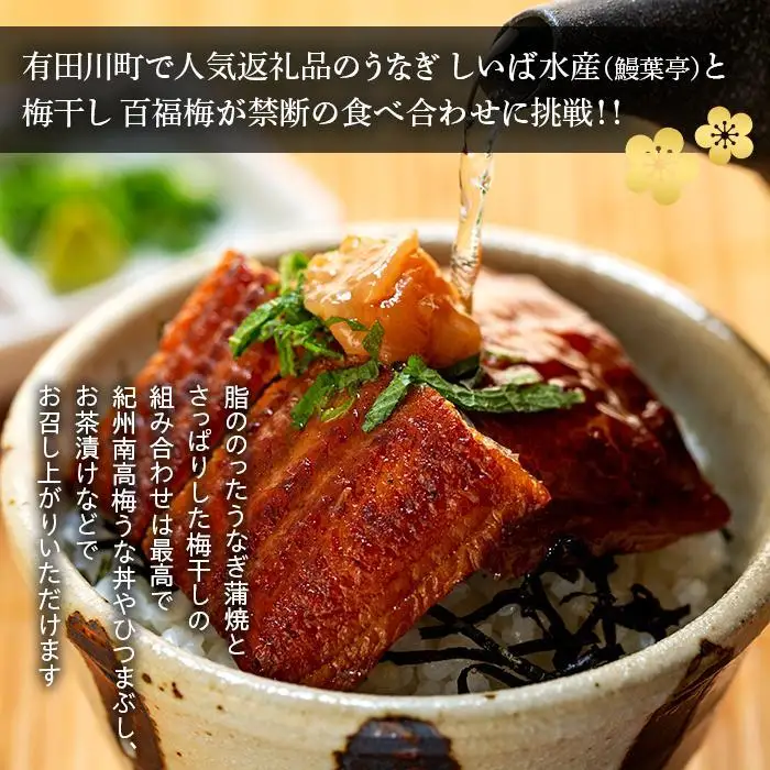 紀州南高梅 うな丼 うなぎ蒲焼 240g  × 紀州南高梅干  80g 有田みかん蜂蜜 塩分7％  約3人前 うなぎ 鰻