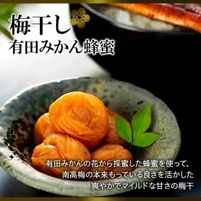 うなぎ蒲焼 4尾 合計 500g  紀州南高梅干 200g 有田みかん蜂蜜 塩分7％ セット うなぎ