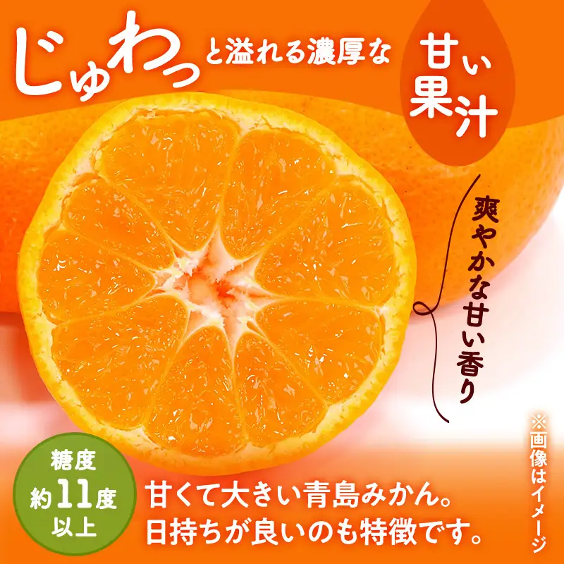 三ヶ日みかん 青島 4kg L/2L 蜜柑 ミカン 果物 くだもの フルーツ 浜松