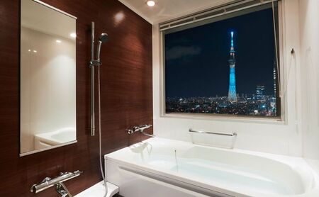 ロッテシティホテル 錦糸町 ホテル利用券 20,000円分 墨田区 錦糸町 ホテル 利用券 SKYTREE チケット 宿泊券 東京スカイツリー 絶好 ロケーション 朝食 健康 ビュッフェ 