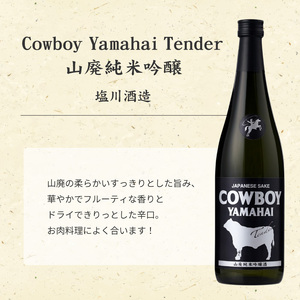 日本酒 塩川酒造 のみくらべ セット 720ml × 2本 清酒 お酒 人気 新潟 飲み比べ 新潟県