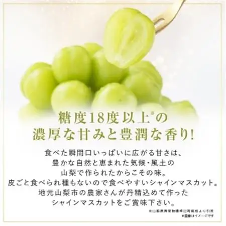 【2026年発送】大人気!シャインマスカット秀 1.2kg(2～3房)【配送不可地域：離島】【1442579】