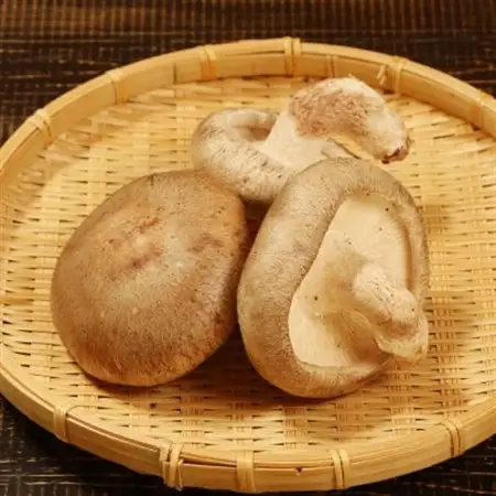 肉厚、やわらか!あらかわ生しいたけ大プレミアム [贈呈用]【配送不可地域：離島】【1442522】