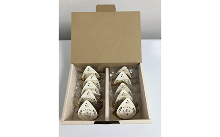 ＜ギフト箱入り＞いちじくの雫 10個入り 個包装 無添加 F4H-0298