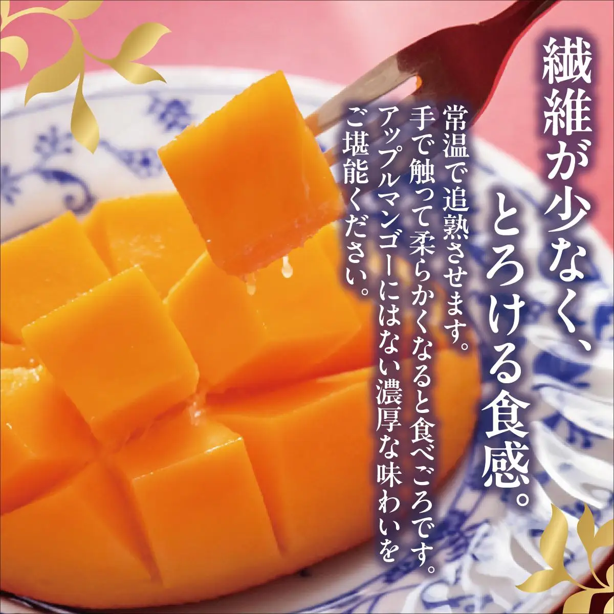 ＜訳あり・ご家庭用＞幻のキーツマンゴー約2kg（白箱）2玉～7玉   