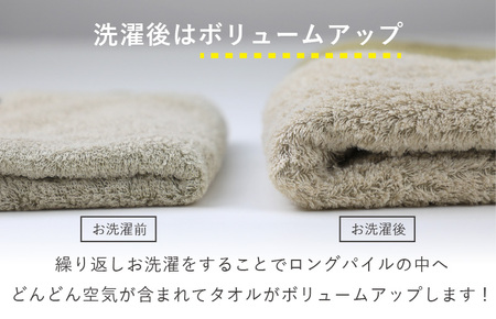 （今治タオルブランド認定）HOME バスタオル 2枚セット（グレー）【I000440GY】
