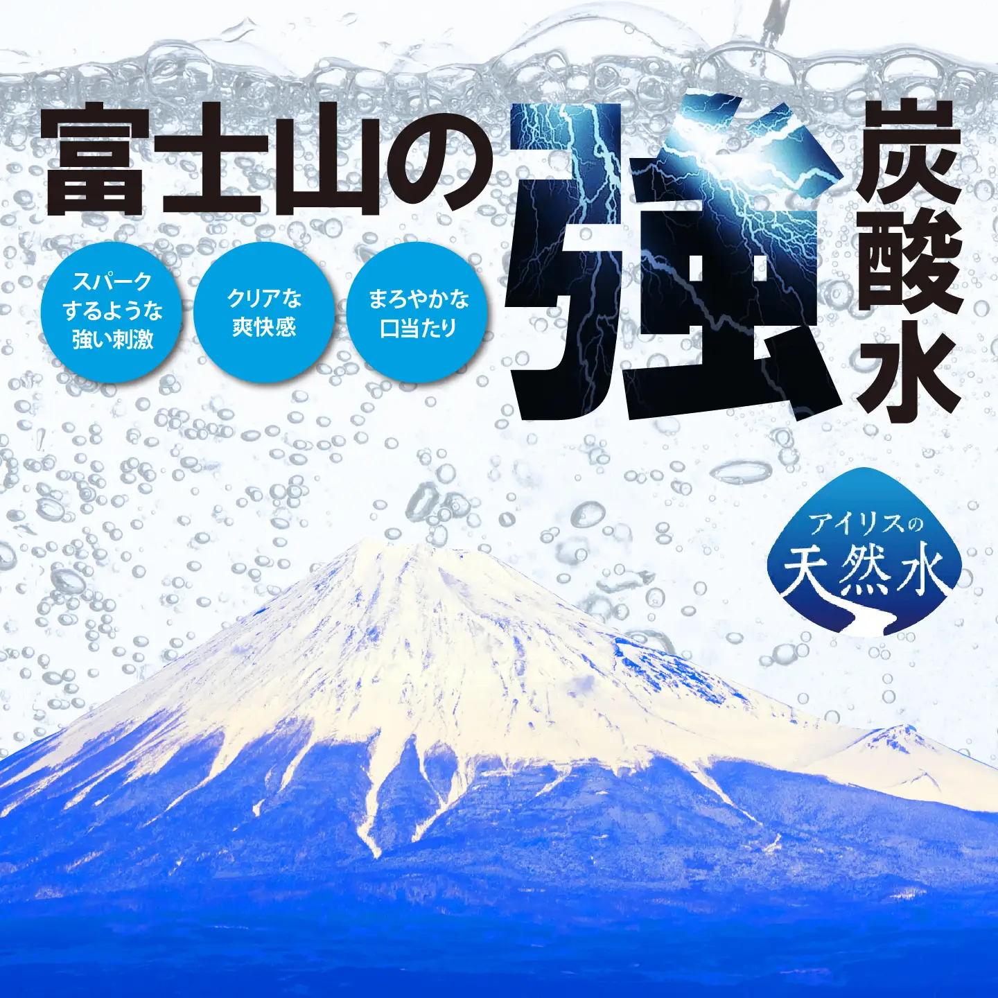 強炭酸水 最短3日 ラベルレス 500ml×1箱 24本入 炭酸