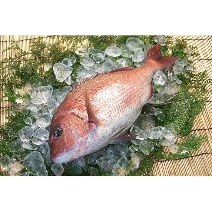 和食やTakasui　　鯛かぶと煮