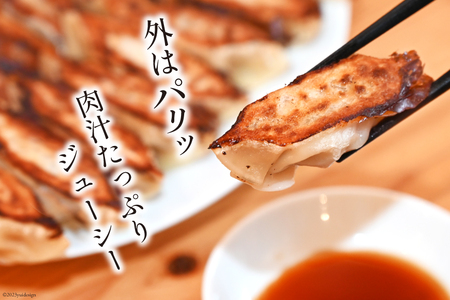 【AH019】 焼くだけ！一か月に1500個売り上げる餃子 45個（15個×3パック）