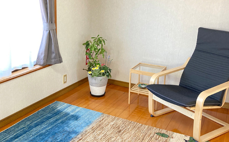 宿泊 漁師町のお宿つる 一泊二食付き ペア宿泊券 島根県松江市/株式会社永幸丸[ALFM007] 宿泊 宿泊