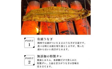 国産 うなぎ 蒲焼 2尾 特製ダレ付 冷凍 海鮮 魚介 京都 舞鶴 鰻 蒲焼 蒲焼き かば焼き 国産うなぎ 国産鰻 土用 丑の日 うしのひ うな重 うな丼 ひつまぶし 土用の丑の日 タレ付き