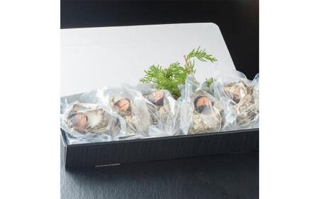 【訳あり】 さざえの舞鶴焼き 100～150gサイズ×5個 サザエ 訳ありサザエ こだわりだしのサザエ 採れたての味が楽しめるこだわりのサザエ 大きさ不揃いサザエ プロトン冷凍 冷凍 魚介 海鮮 つぼ焼きサザエ 加工品 バーベキュー BBQ アウトドア 京都 舞鶴