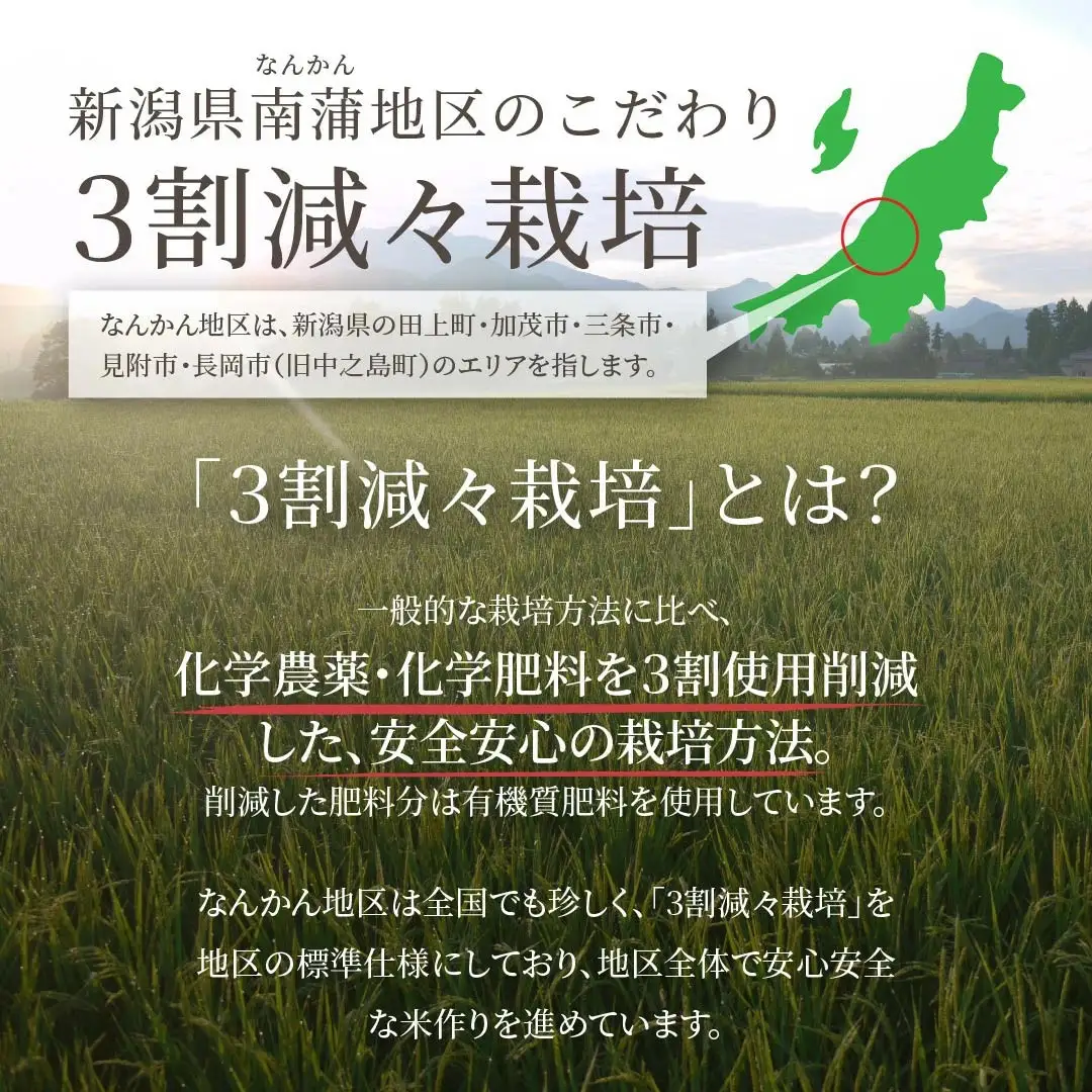コシヒカリ 20kg (5kg×4袋) 新潟県三条市下田産 こしひかり 令和7年産 [JAえちご中越]