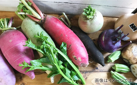 【全3回定期便】旬を味わう 糸島 野菜 セット 10〜14種 （14パック） / イタリア野菜 オーガニック 野菜ソムリエ 松永 糸島市 / vegeLabo [AJB004]