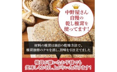 椎鶏（しいチキン）の無添加ハンバーグ1kg _10127Z