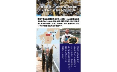 国東半島の天然お刺身わかめ（2.5kg）_102Z