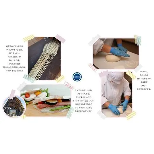 キタノカオリ小麦のカンパーニュ3本セット【24022】