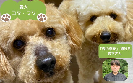 まつのジビエFOR DOGS 鹿肉ジャーキー3個セット+鹿レバージャーキー1個 計4個セット ◇｜ジビエ 鹿 しか シカ 鹿肉 カット肉 珍しい ペット用 犬用 愛媛県 松野町 お取り寄せ ※離島への配送不可 