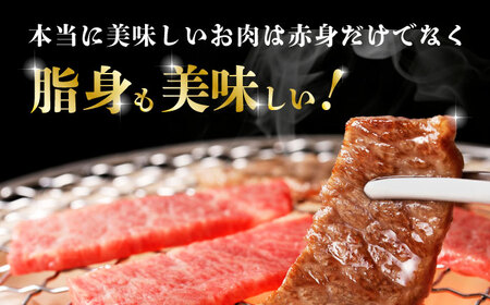 【12回定期便】熊本県産 黒毛和牛 焼肉用 食べ比べ セット 約900g【九州食肉産業】 ブロック 薄切り 焼き肉 [ZDQ061]
