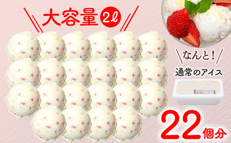 訳ありジェラート ２L いちごのミルフィーユ【Himi Gelato】　ジェラート