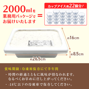 【Himi Gelato】訳ありジェラート２Lチョコレート　ジェラート