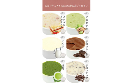 【3ヶ月定期便】【Himi Gelato】訳ありジェラート２Lミルク　ジェラート