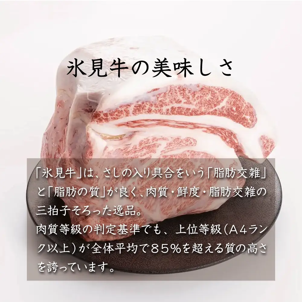お肉屋さんの氷見牛カレー３個入