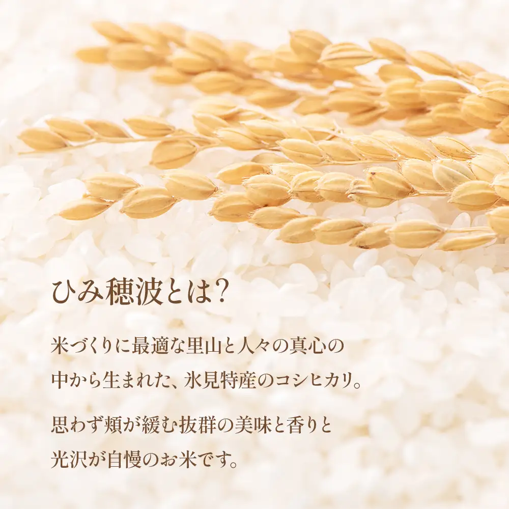 令和7年産 富山県産 コシヒカリ 《ひみ穂波》 10kg　 富山県 氷見市 こしひかり