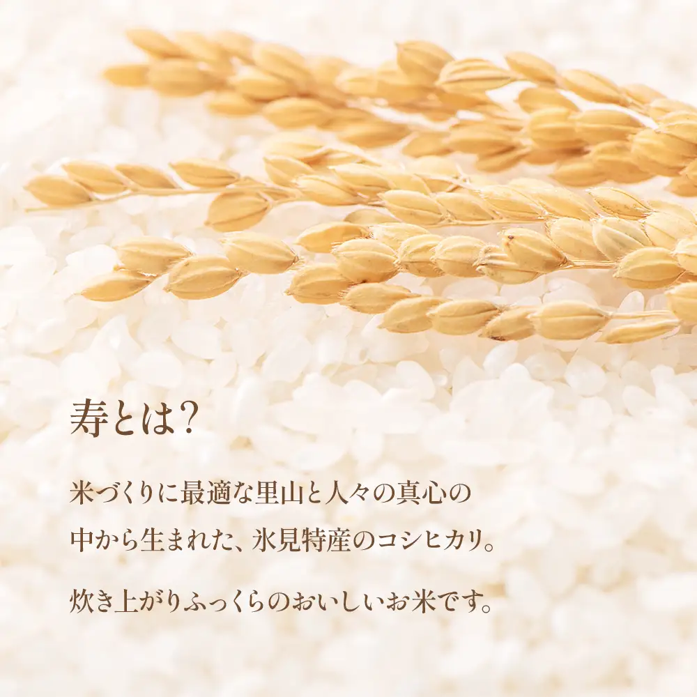令7年産 富山県産 コシヒカリ 《寿》 10kg  富山県 氷見市 こしひかり
