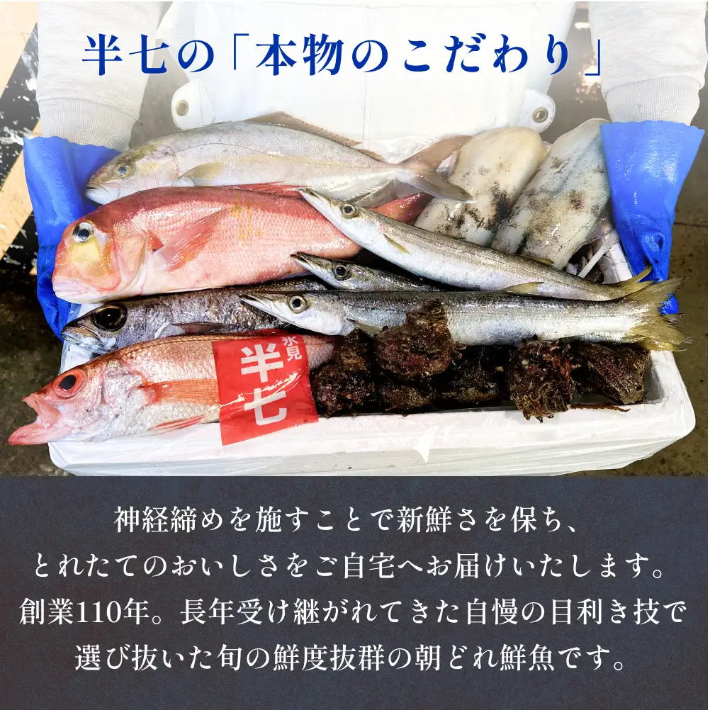 氷見港朝獲れ 高級魚！丸っと贅沢直送便！ 船上氷上締め 鮮魚ボックス | 高級魚 鮮魚ボックス