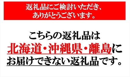 長野県産 サンふじ りんご 家庭用 約5kg （14〜25玉）〈2026年12月出荷分／北海道・沖縄県・離島は配送不可〉信州 果物 旬彩 先行予約 季節限定【 当園にて愛情たっぷりに育てたりんご 長野県 佐久市 】