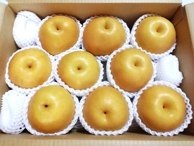 【樹上完熟】和梨「豊水」　５ｋｇ　７～１６玉（直送便）　0148-2610