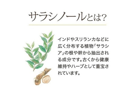 048-34　お茶の荒畑園　サラシア入りのほうじ茶ティーパック（3ｇ×30包）×2袋セット　〈機能性表示食品〉