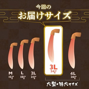【ふるなびWEEK対象】ズワイガニ 3L 1kg カット済 生食可 カニ 北海道 _HD065-008
