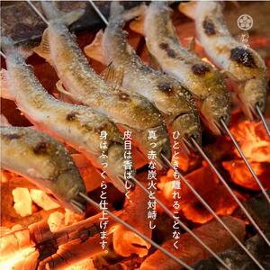 一尾ずつ炭火で丁寧に焼き上げた鮎の塩焼き（４尾）