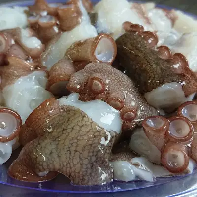 蛸 船上活締め 生 真ダコ ぶつ切り (200g×5P) | 豊後高田市 蛸